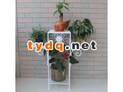 铁艺花架批发图2