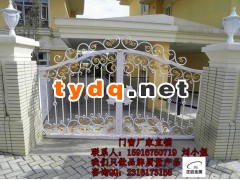铁艺大门图3