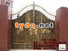 别墅花园铁艺大门图1