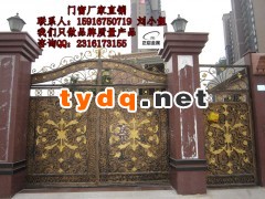 别墅花园铁艺大门图3