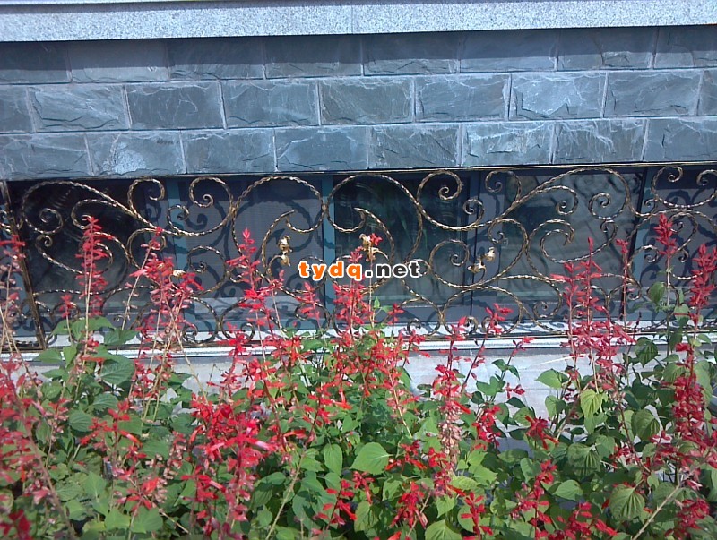 2011-09-22_09-51-57_611