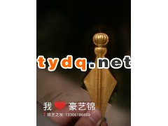 铁艺金漆价格图3