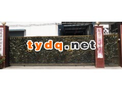 接受定制铁艺大门图2