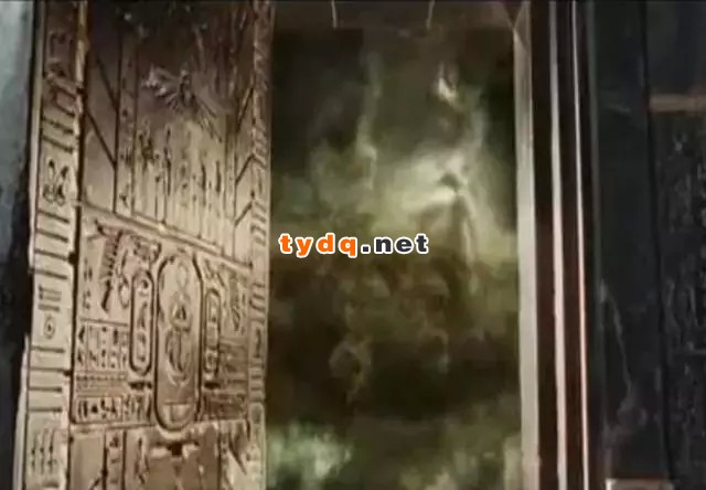 640.webp (4)