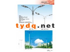 供应道路照明灯市政工程道路灯高亮美观道路灯厂家直销图3