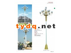 专业生产中华灯厂家 8叉9火庭院广场景观中华灯图2