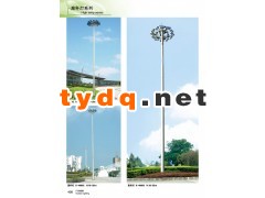 LED户外路灯城市广场高杆灯中杆灯景观灯庭院灯价格图2