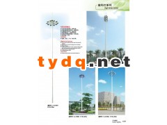 LED户外路灯城市广场高杆灯中杆灯景观灯庭院灯价格图3