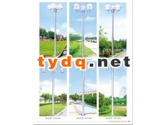 供应不锈钢景观庭院灯亮化灯具系例产品图1