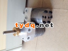 5cc圆形带自动清洗油漆齿轮泵图1