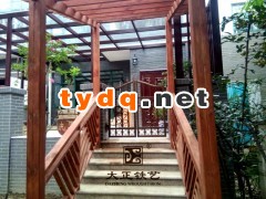 别墅铁艺大门加工图2