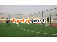 优质组装式PE包塑篮球场围网笼式足球场护栏网图3