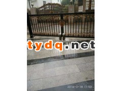 别墅铁艺大门阿尔卡诺八字平开门机图3