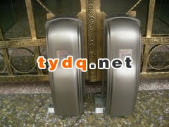长沙别墅铁艺大门阿尔卡诺八字平开门机图1