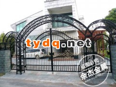 铁艺大门图2