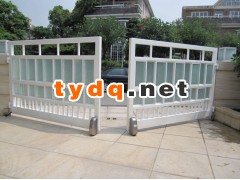 溧阳别墅铁艺大门含电动开门机图2