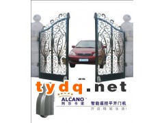 湘潭别墅铁艺大门八字平开门机图3