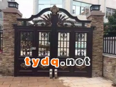 湘潭别墅金属大门用阿尔卡诺八字平开门机图3