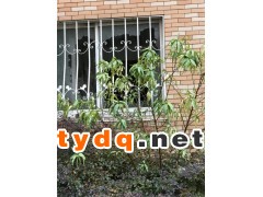 镇江地区铁艺防盗窗专业工厂图2