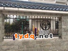 铁艺围栏图2