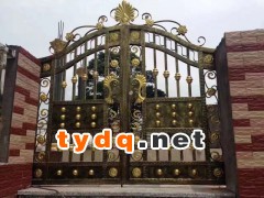 铁艺大门批发图3