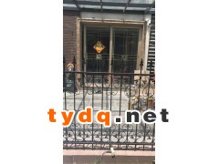 铁艺围栏图2