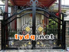 欧式铁艺别墅门图2