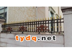 溧阳铁艺庭院大门铁艺大门厂家图2