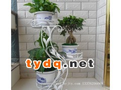 铁艺花架图2
