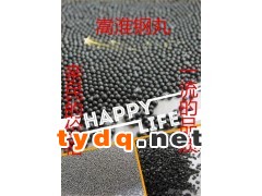 供应山东嵩淮钢丸 钢砂 抛光耐磨金属 优质合金磨料图2