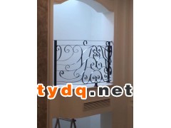铁艺围栏图2