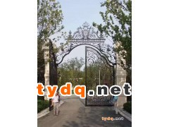 铁艺大门图3