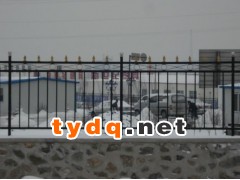 铁艺围栏图3
