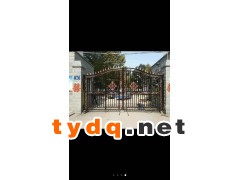 铁艺大门图2
