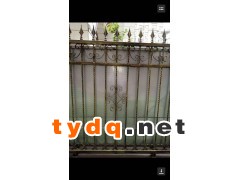 铁艺围墙图2