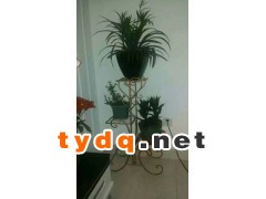 铁艺花架制作技术培训要点图3