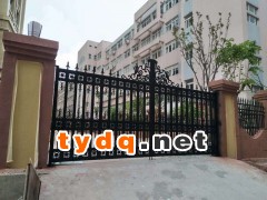 铁艺大门图2