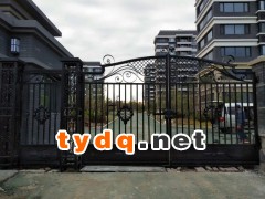 锻造铁艺大门围栏图2