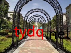 淮安铁艺大门厂家定做直销图2