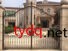 铁艺大门厂家【盐城铁艺公司生产批发】图2