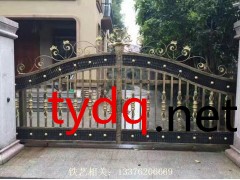 靖江铁艺大门【厂家定做批发】图3
