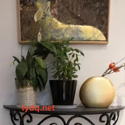 铁艺花架，铁艺葡萄架加工定制厂家图8